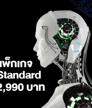 แพ็กเกจ Standard รับทำเพลงด้วย AI