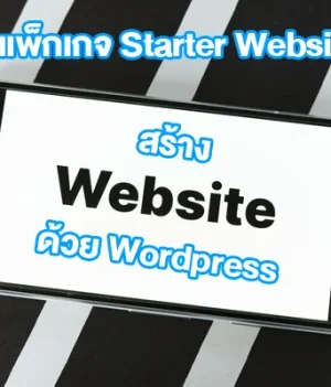1) แพ็กเกจ Starter Website — เว็บบริษัท / โปรไฟล์ธุรกิจ