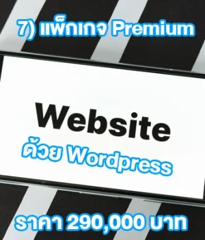 7) แพ็กเกจ Premium — เว็บบริษัท + ระบบ + การตลาด