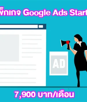 1) แพ็กเกจเริ่มต้น — Google Ads Starter