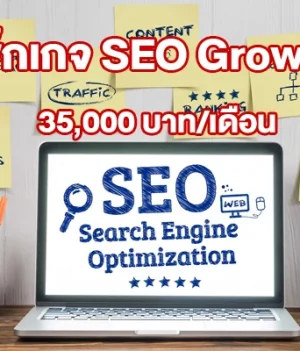 แพ็กเกจ SEO Growth(การเติบโต)