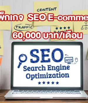 แพ็กเกจ SEO E-commerce