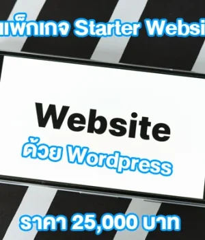 1) แพ็กเกจ Starter Website — เว็บบริษัท / โปรไฟล์ธุรกิจ